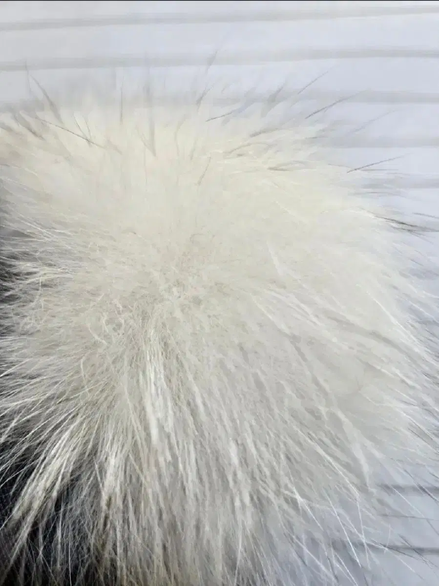 thumbnail-10